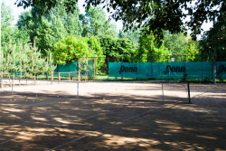 Теннисные корты Турист - Теннис